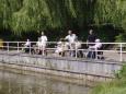 2008 Harteheem-004