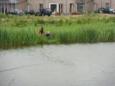 Jeugdviswedstrijd2011 05