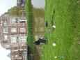 Wedstrijd 1 (8)