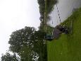 Wedstrijd 3 (4)