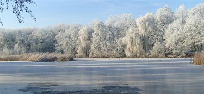 Steenstrapark in de winter